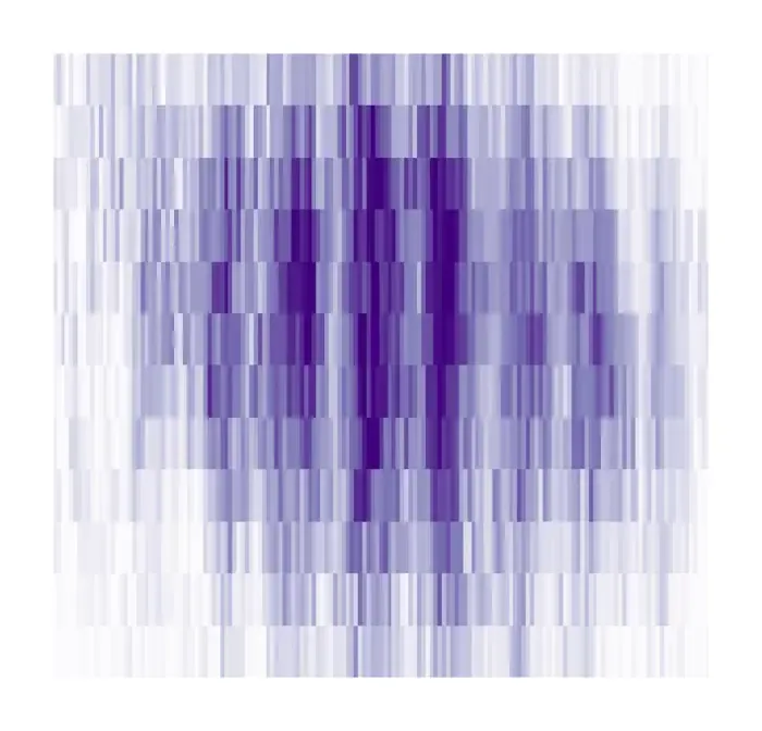 Single shot experimental image of the in situ density profile of the cloud of potassium atoms measured with matter-wave optics. The vertical fringes show the periodic spatial order reminiscent of the solid-like nature of the supersolid. ©ICFO.